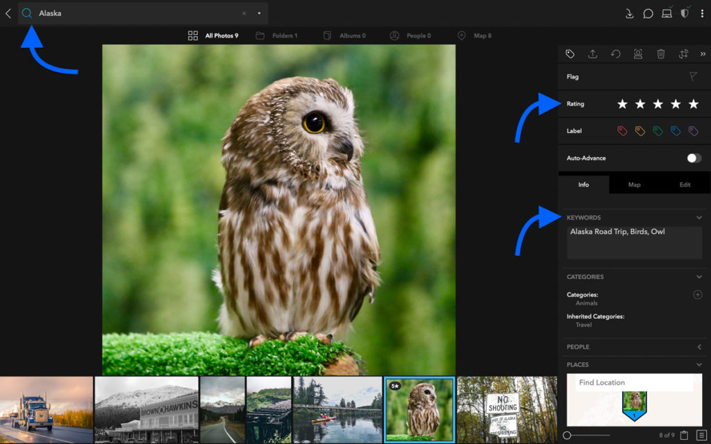 Screenshot showing the information panel in Mylio, with star ratings and keywords to organize your photos