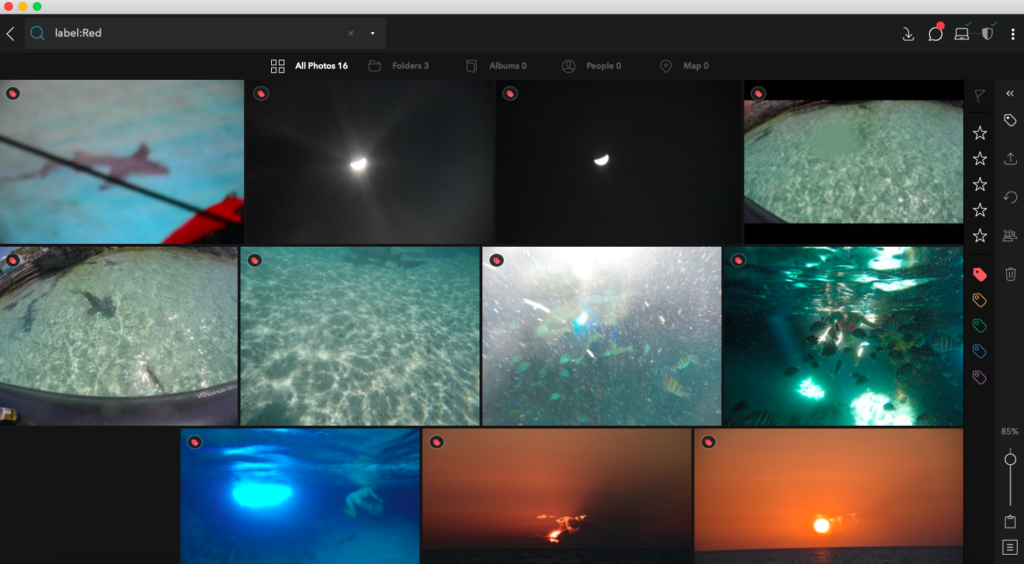 Screenshot of Mylio photo organization app showing Red labels on images to delete to declutter photos